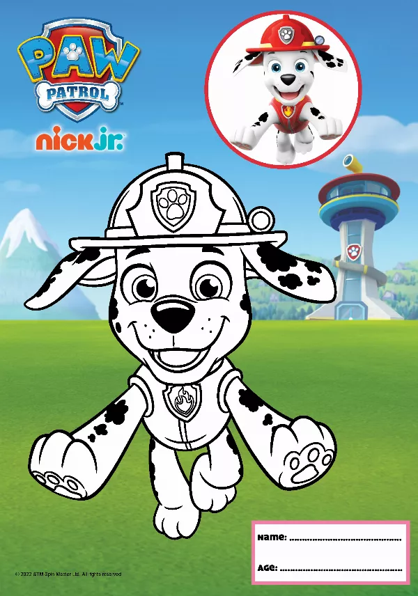 PAW Patrol Colouring Sheet 4